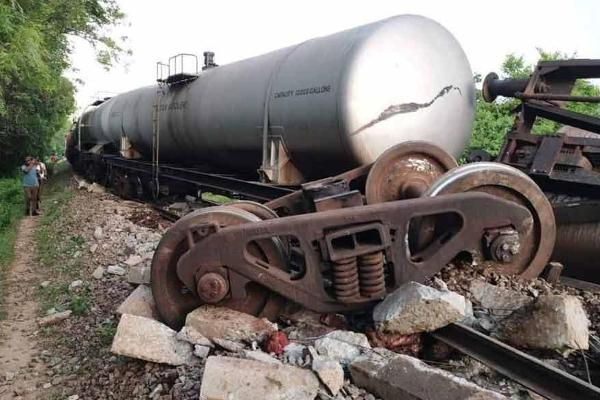 ரயில் மோதி 2 காட்டு யானைகள் பலி ; ரயில் சேவை பாதிப்பு