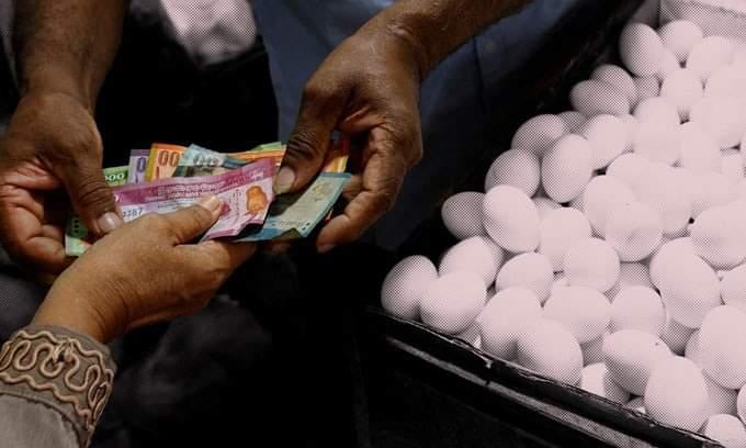 தங்கத்துக்கு நிகராக அதிகரிக்கும் முட்டை விலை