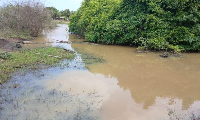 விஷமிகளின், அத்துமீறிய, செயல், கடும்போக்கு