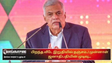 பிறந்த, வீடே, இறுதியில், தஞ்சம்