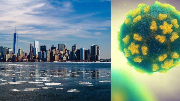 கழிவு கழிவு, நீரில், போலியோ, வைரஸ்