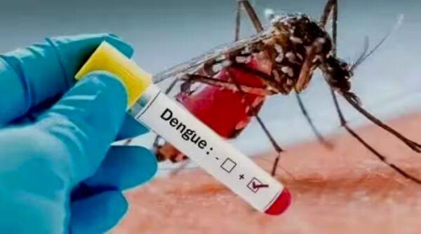 அதி உயர் டெங்கு அபாயம்: அதி உயர் டெங்கு அபாயம்: 15 சுகாதார பிரிவுகள் அடையாளம் காணப்பட்டன
