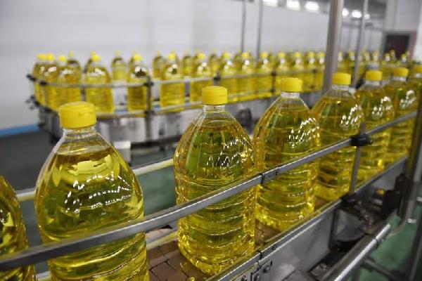 உள்நாட்டு தேங்காய் எண்ணெய் உற்பத்தியாளர்கள் எதிர்கொள்ளும் நெருக்கடி!