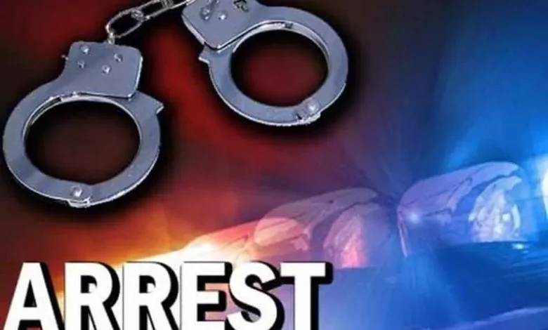 கஞ்சா செடிகளை வளர்த்துவந்த உதவி தோட்ட முகாமையாளர் கைது